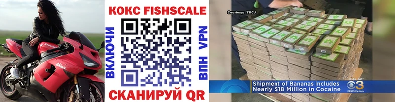 COCAIN Fish Scale Серов