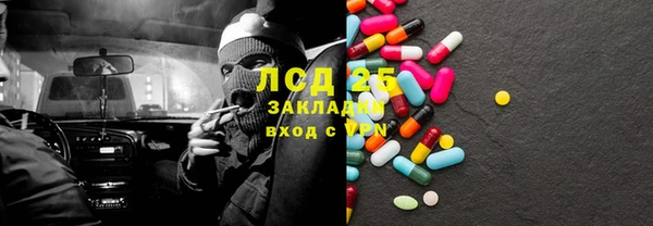 ECSTASY Богданович