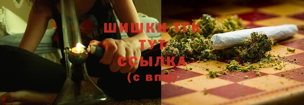 ECSTASY Богданович