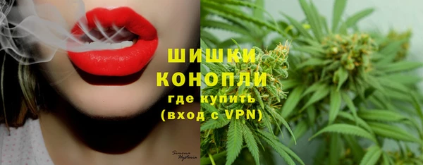 PSILOCYBIN Богородицк