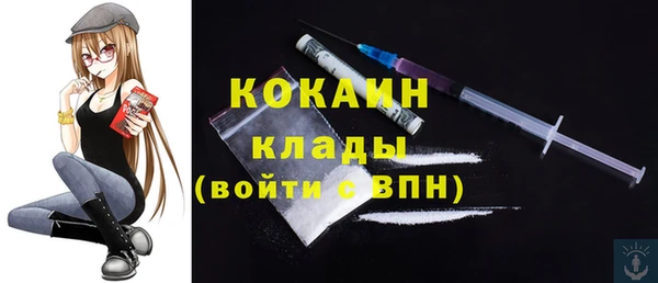 мдпв Бородино