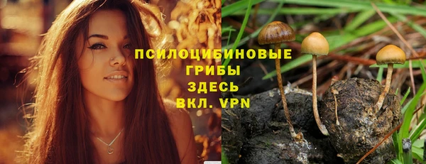 шишки Бронницы