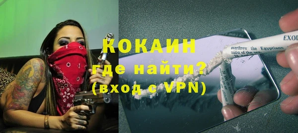 мдпв Бородино