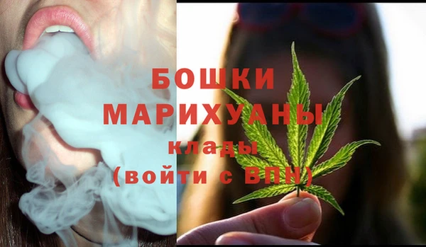 мдпв Бородино