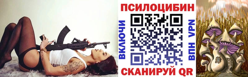Псилоцибиновые грибы Cubensis  Купить закладки  Серов 