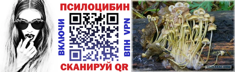 Псилоцибиновые грибы MAGIC MUSHROOMS Серов